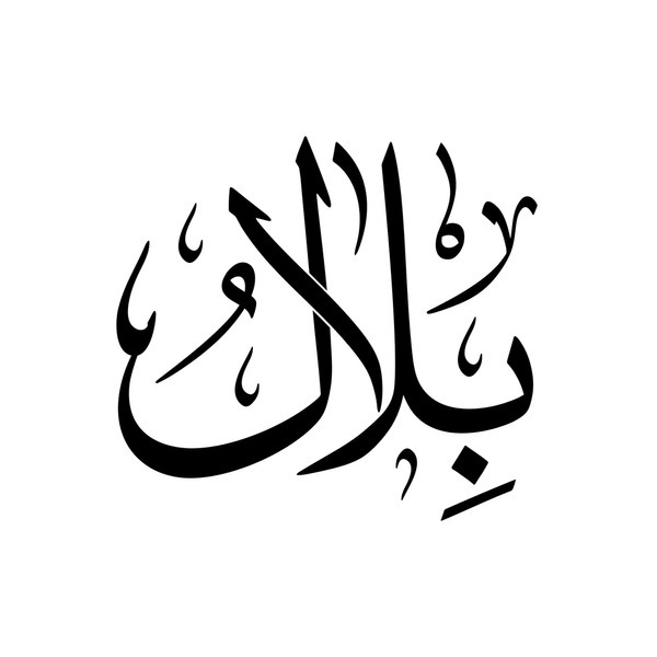 Bilal Properties & Inc