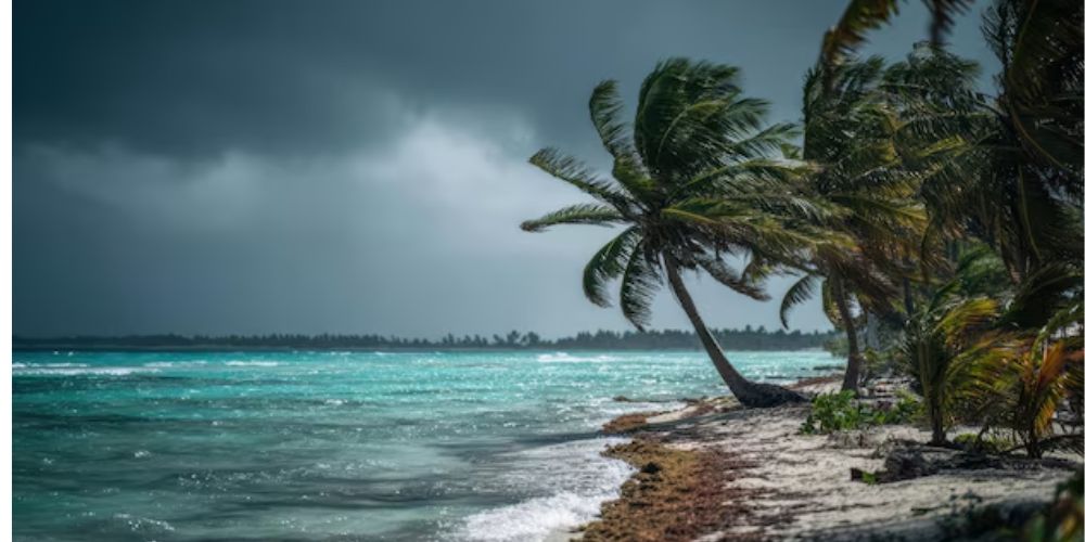 What Is the Weather Like in Oceania in May