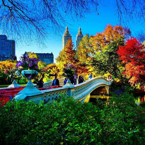 Central Park