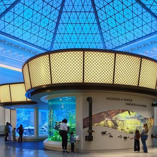 The Shedd Aquarium
