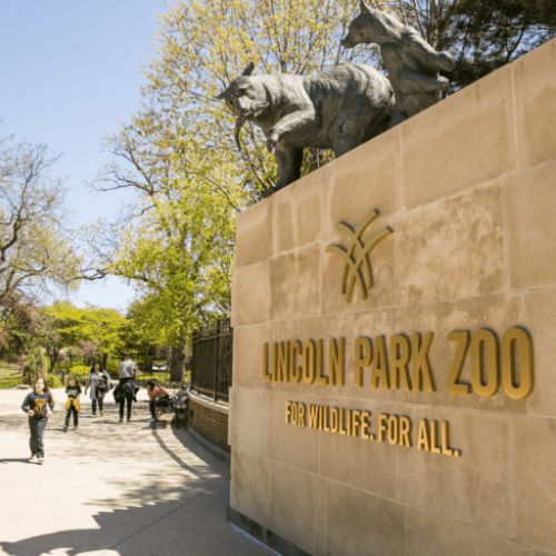 _Lincoln Park Zoo and Lincoln Park