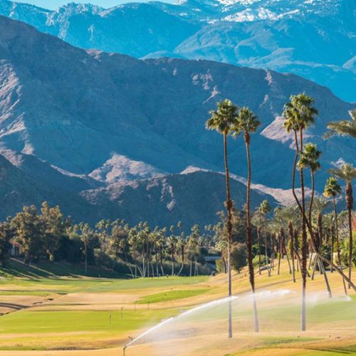 Palm Springs