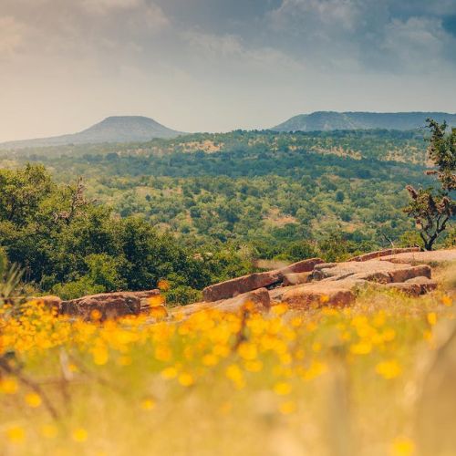 The Texas Hill Country
