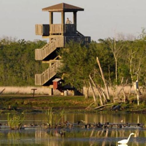 Brazos Bend State Park