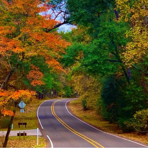 Huntsville State Park