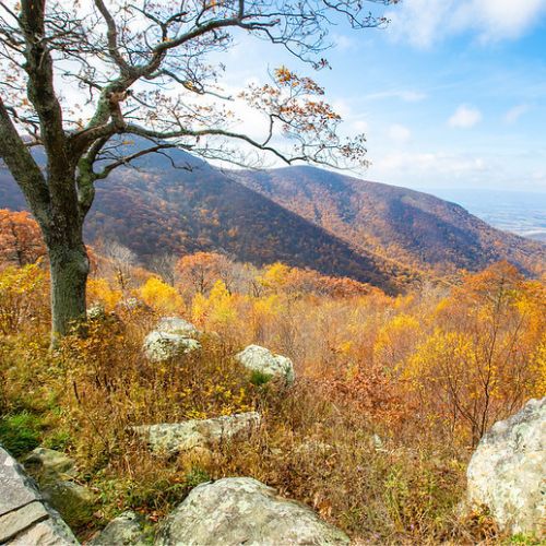 Shenandoah National Park, Virginia
