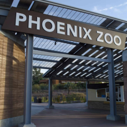Things to Do in Phoenix with Family