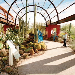 Desert Botanical Garden