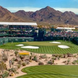 Best Times to Visit Phoenix