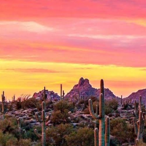 Scottsdale 