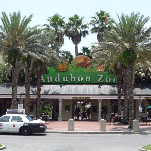 Fun Family Things to Do in New Orleans