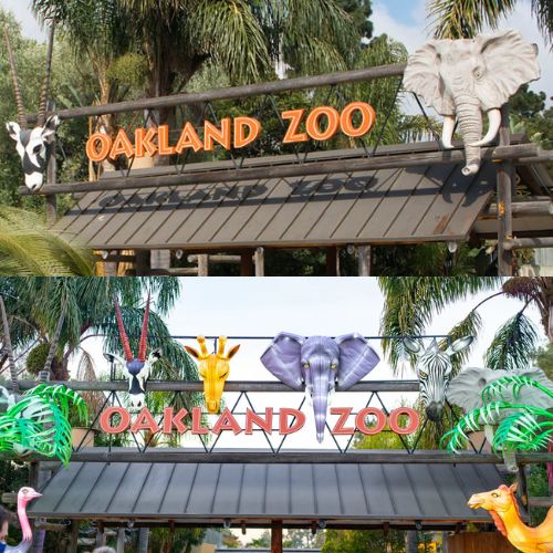 Oakland Zoo