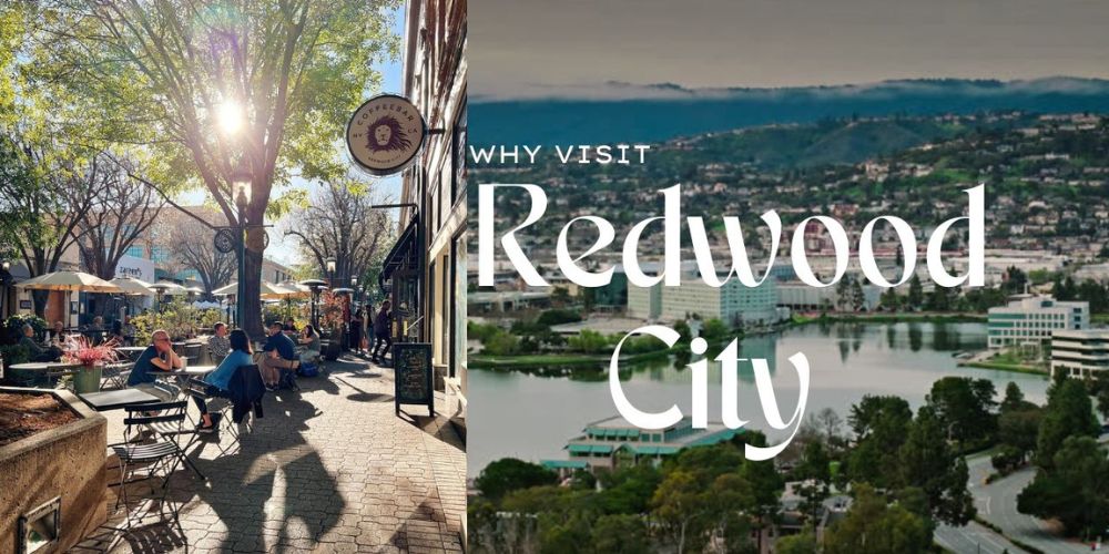 Why Visit Redwood City