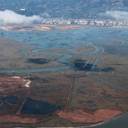 Bair Island Ecological Reserve & the Bay Trail