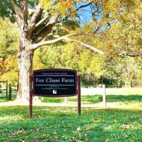 Fox Chase Farm (1)