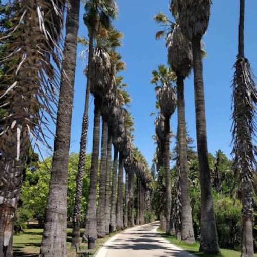 Botanical Gardens