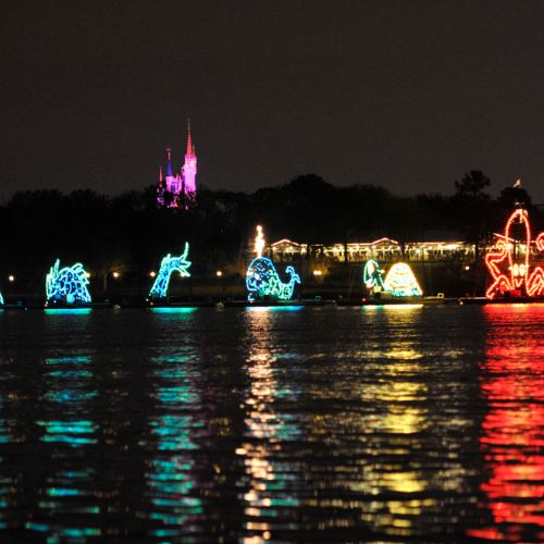 7. Watch the Electrical Water Pageant