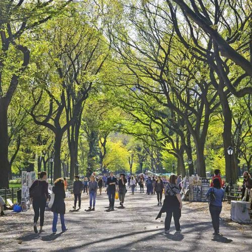 Relax at Bryant Park