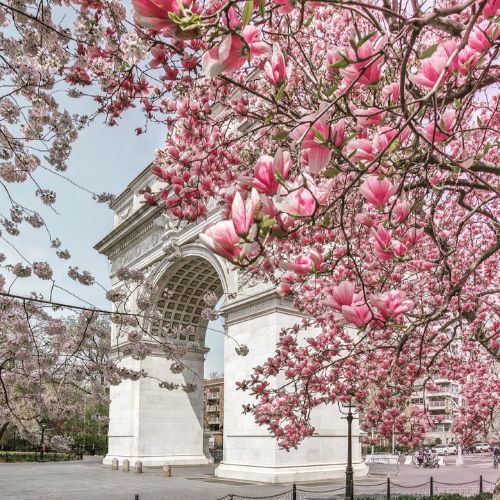 Visit Washington Square Park