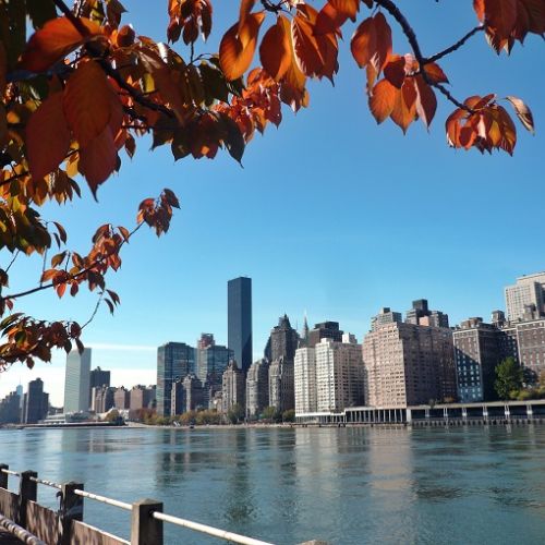 Roosevelt Island