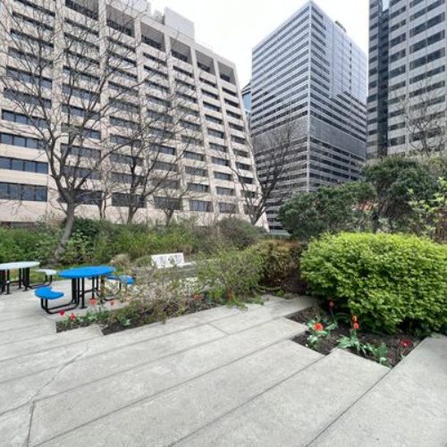 Elevated Acre
