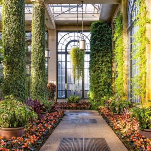 Conservatory Garden