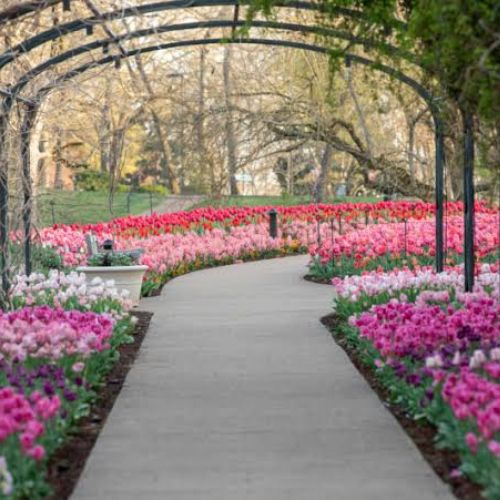Cheekwood Estate & Gardens