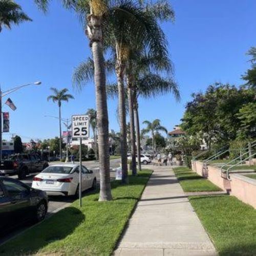 Walk Through Palm-Lined Neighborhood Streets