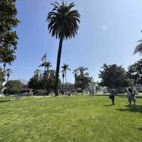 Visit Star Park