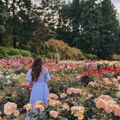 Washington Park's Gardens