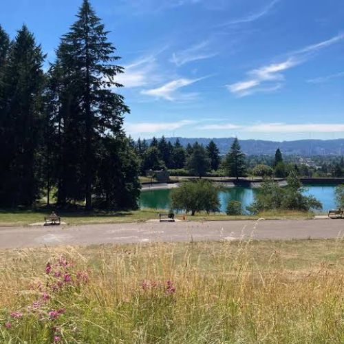 Mount Tabor Park (1)