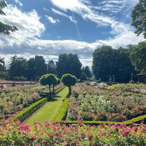 Peninsula Park Rose Garden (1)
