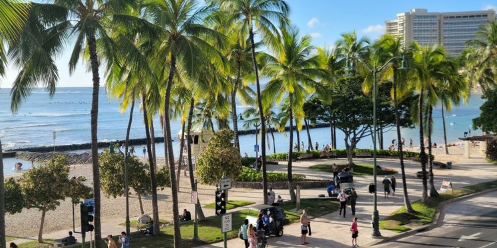 Why Waikiki Is One of the Best Places to Explore for Free