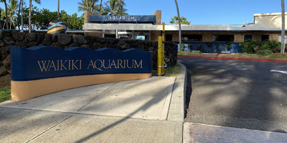Waikiki Aquarium Grounds