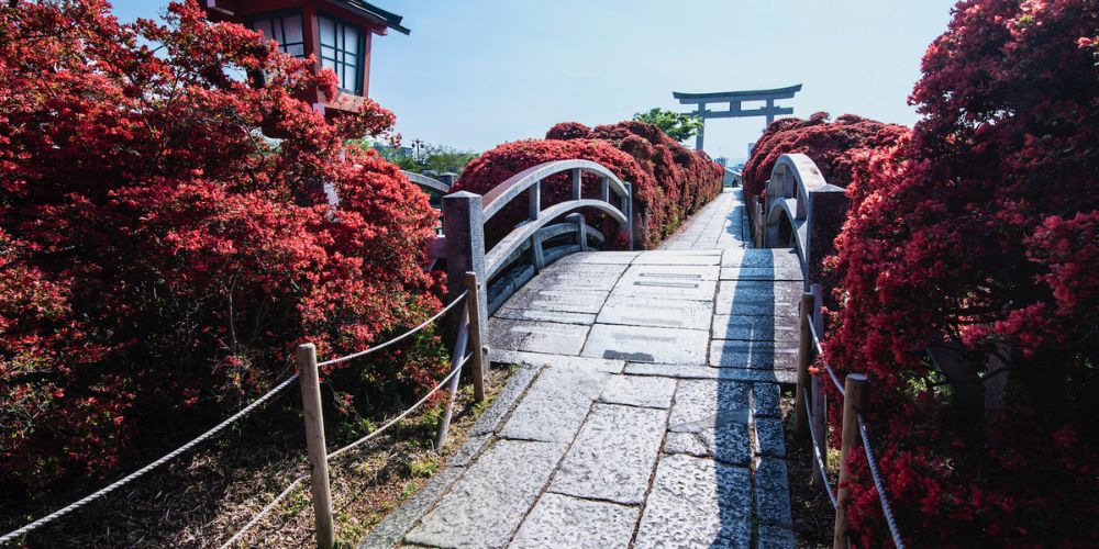 Visiting Japan in May