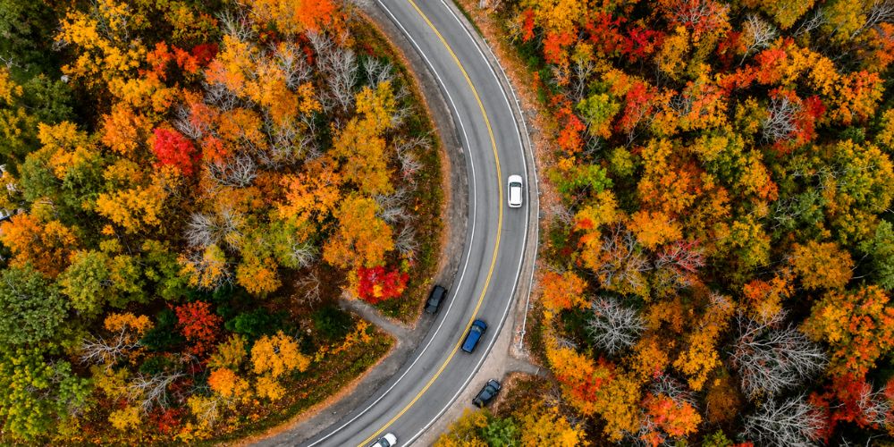 November Peak Autumn Foliage Season