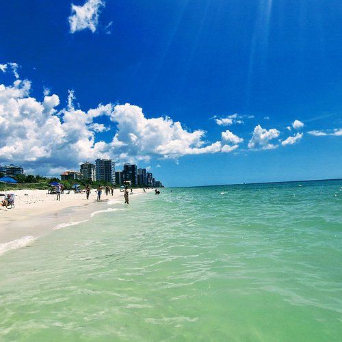 Park Shore and North Naples