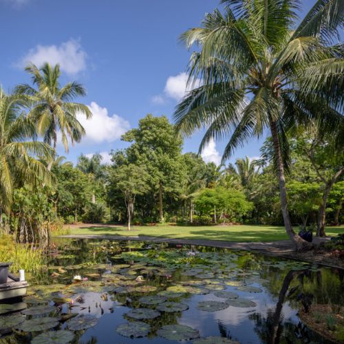 Naples Botanical Garden