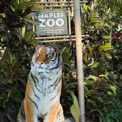 Naples Zoo at Caribbean Gardens