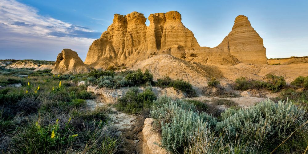 What Are the Best Kansas Day Activities_