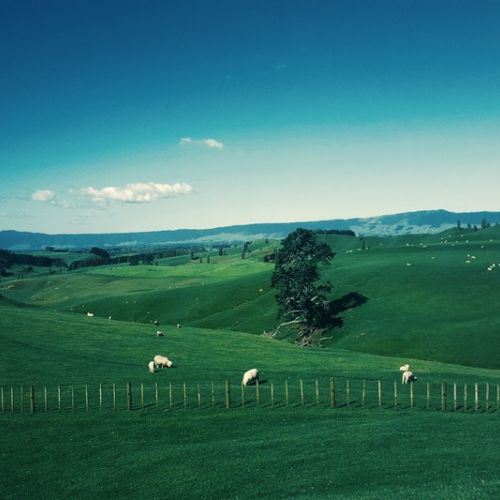 New Zealand_ Best for Hiking and Campervan Adventures