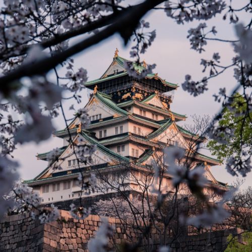 Japan Best for Solo Dining and Culture