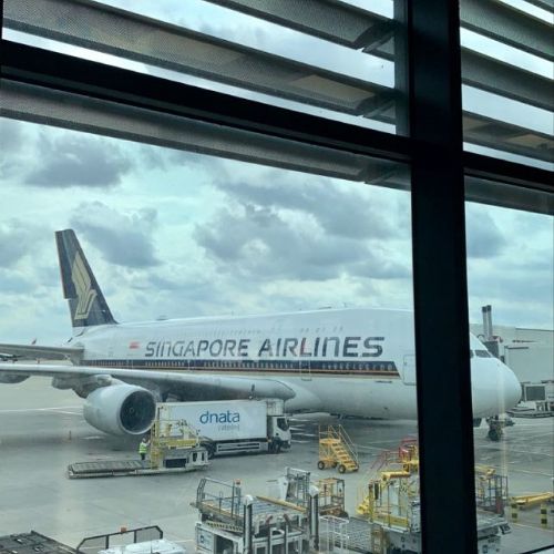 Singapore Airlines
